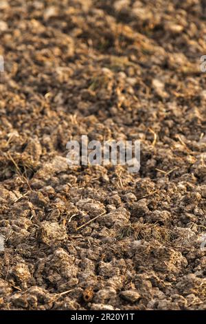 Tilled soil in field prepared for sowing season, close up with selective focus Stock Photo