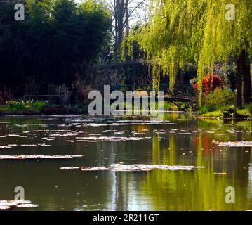 Photograph taken at Monet's Garden in Giverny which inspired the Water Lilies and Japanese Bridge Series by Claude Monet. Stock Photo