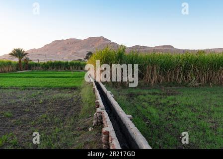 An Egyptian farm irrigation system to channel water from the River Nile to sugar cane plantations in rural Upper Egypt. Stock Photo