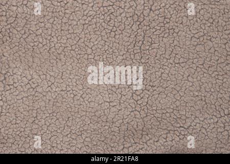 Wool texture. Beige wool background, natural sheepskin close-up. Top view Stock Photo