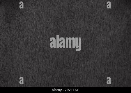 Black artificial fur texture for background. Dark furry coat background. Empty place for text, quote or sayings. Top view. Closeup. Stock Photo