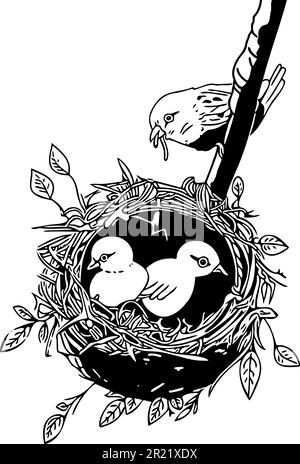 Bird nest with two chicks. Mother bird feeds the chicks with a worm she has in her beak. Outline vector with black in front of transparent background. Stock Vector
