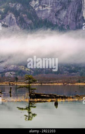 Lovely fog cloud lifts gently from Spit Estuary in Squamish, British Columbia, Canada Stock Photo