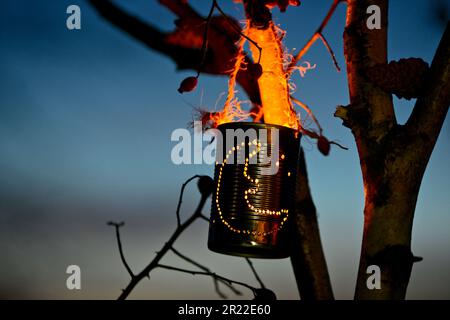 lantern made of tin cans hangind on branches, inside with bruning tea light Stock Photo