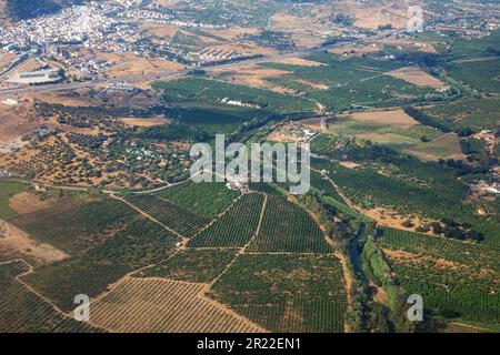 olive groves an field landscape North of Malaga, aerial view, Spain, Andalusia Stock Photo