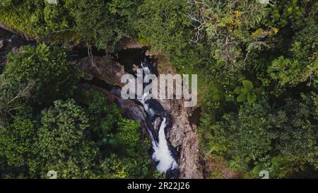 Small cascade in El Yunque national forest, Puerto Rico. High quality photo Stock Photo