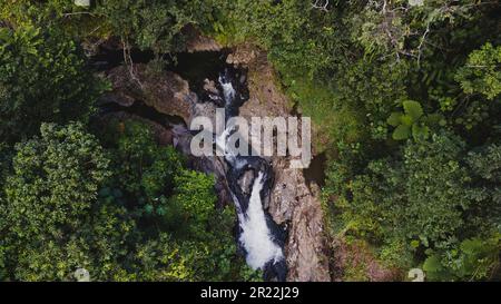 Small cascade in El Yunque national forest, Puerto Rico. High quality photo Stock Photo