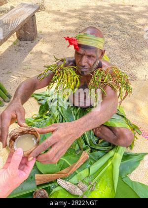 Kava is a traditional and culturally significant beverage in Vanuatu. It is made from the roots of the kava plant, scientifically known as Piper methysticum. The roots are ground into a fine powder, which is then mixed with water to create a muddy, earthy drink. Kava has been consumed for centuries in Vanuatu and is deeply intertwined with social, ceremonial, and medicinal aspects of the local culture. It is often shared among friends and family during gatherings or formal ceremonies, promoting relaxation, social bonding, and a sense of community. Kava is known for its calming properties, prov Stock Photo