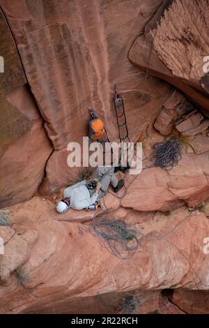 A rock climber spotted in Zion National Park Stock Photo