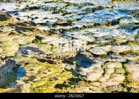 Abstract pattern of water, stone, sand and algae on a beach in Western Australia Stock Photo