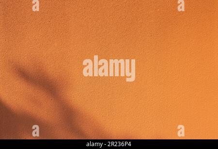 Empty orange concrete wall with foliage shadow. Colored concrete texture. Vibrant wall background. Leaf shadow on orange cement wall. Bold color Stock Photo