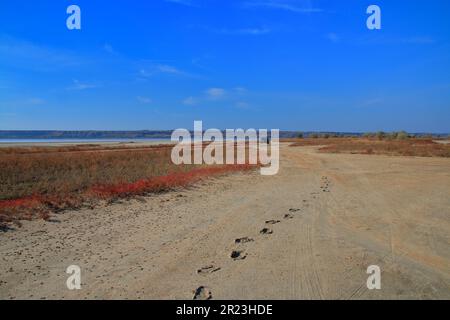 The photo was taken in Ukraine in the Odessa region. The picture shows the wild steppe part near the estuary. Stock Photo