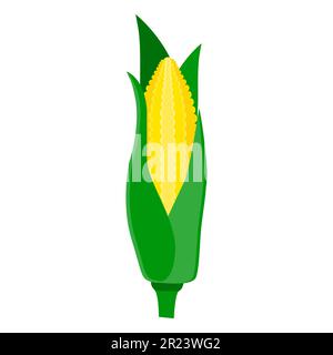 corn vegetable food flat icon vector illustration isolated on white background Stock Vector