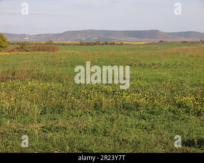 Pliska (Kaspichan Municipality, Shumen Province, Bulgaria) Stock Photo