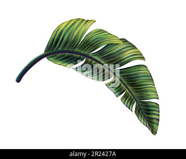 Watercolor Tropical Leaves, Banana, Palm & Fiddle Fig Branch, Set 2024 of 3 Prints, Exotic Plants, Greenery Painting, Leaf Illustration, Artwork