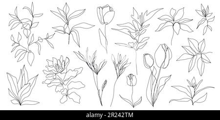 Vector set of hand drawn, single continuous line flowers, leaves. Art floral elements, tulips illustrations. Use for t-shirt prints, logos, cosmetics Stock Vector
