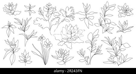 Vector set of hand drawn, single continuous line flowers, leaves. Art floral elements. Use for t-shirt prints, logos, cosmetics and beauty design Stock Vector