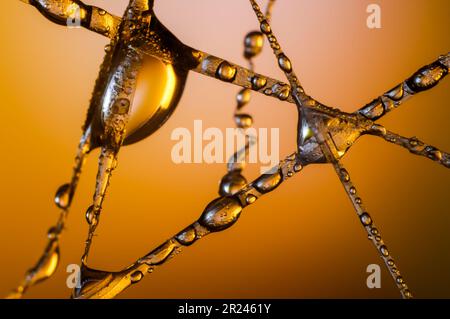 colorful light,water and glass,spectacular view of water droplets,colorful unique macro wallpaper,decorative futuristic stylish patterns created by li Stock Photo
