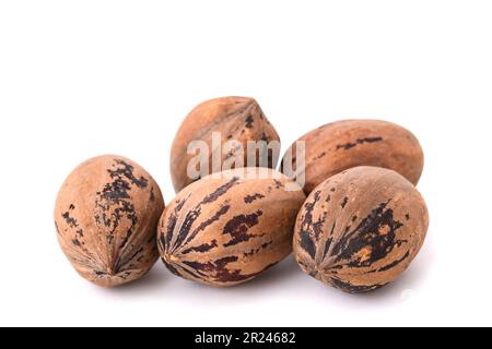Pecan nuts group isolated on white background Stock Photo