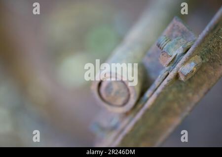Close up of an old rusty screw. Selective focus. Abstract view. Pastel colors. Stock Photo