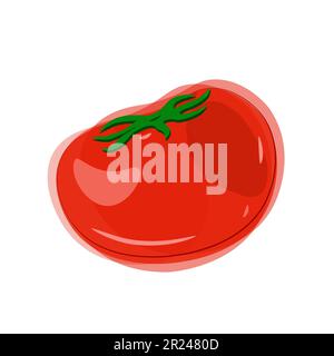 Vector red tomato with green tail in watercolor style on white background. Stock Vector