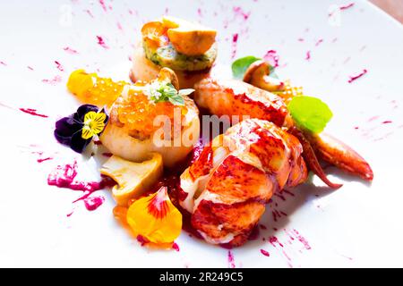 Fresh lobster with scallops and vegetables in fine dinning restaurant in spain. Stock Photo