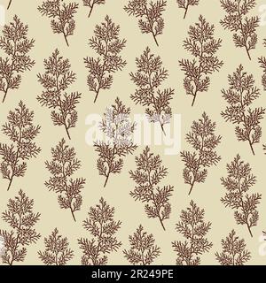 Realistic botanical ink sketch of pine tree branches on beige background. Stock Vector