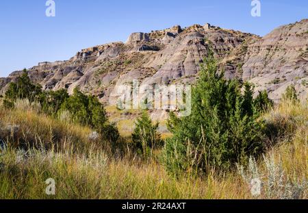 Makoshika State Park, Montana's Largest State Park Stock Photo