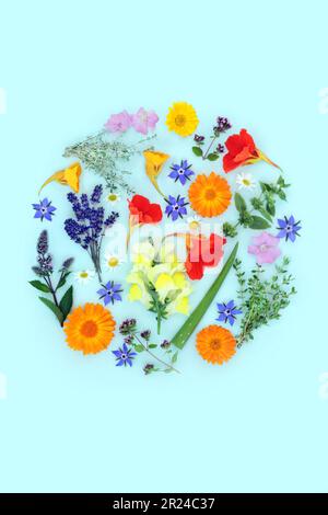 Herbs and flowers for alternative plant based skincare beauty treatment. Can ease psoriasis, eczema, acne and wounds. Natural floral healthcare. Stock Photo