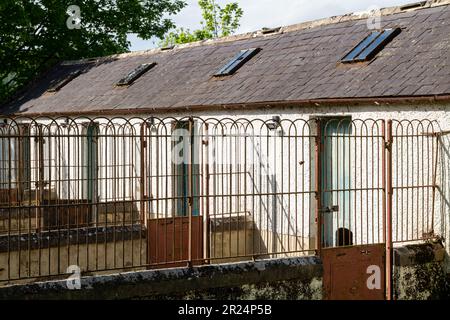 16 May 2023. Boat O' Brig,Orton,Moray,Scotland. This is a row of Gundog Kennels beside the River Spey on a sunny May day. Stock Photo