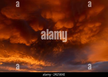 Inflamed sky with mammatus clouds at sunset. Saintes Maries de la Mer, Parc naturel regional de Camargue, Arles, Bouches du Rhone, Provence Alpes Cote Stock Photo