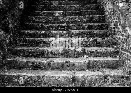 The Moretemer abbey is a former cistercian monastery in the forest of Lyons - Steps out of stone || L'abbaye de Mortemer est un ancien monastere ciste Stock Photo