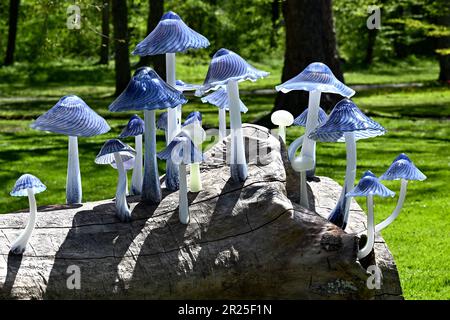 Borgholm, Sweden. 17th May, 2023. Ellen Ehk Åkesson's glass work ”Log for Alice”. Inauguration of a jubilee exhibition of glass art by the Kosta Boda glassworks at Solliden Palace on Öland, Sweden 17 May 2023. The art glass exhibition is shown outdoors in the English Park, which is part of Solliden's Palace Park. The glass sculptures, which have been created by five artists, will be on public display in the park during the 2023 summer season. Photo: Jonas Ekströmer/TT/code 10030 Credit: TT News Agency/Alamy Live News Stock Photo