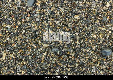 Wet stones on a pebble sea beach as background Stock Photo