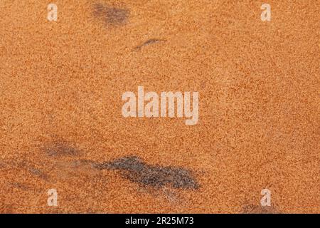 Light beige matte background of suede fabric, closeup Stock Photo