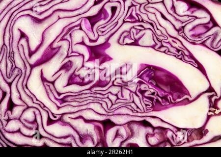 sliced red cabbage striped pattern background Stock Photo