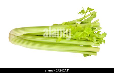 celery stalk path isolated on white Stock Photo