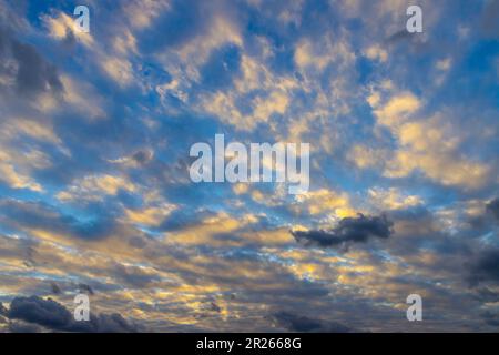 big sheep clouds are illuminated by sun from below - Altocumulus Stock Photo