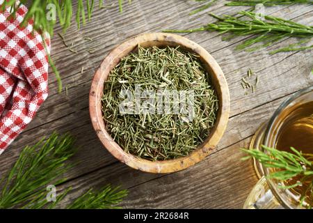 Dry and fresh horsetail plant and tea, top view Stock Photo