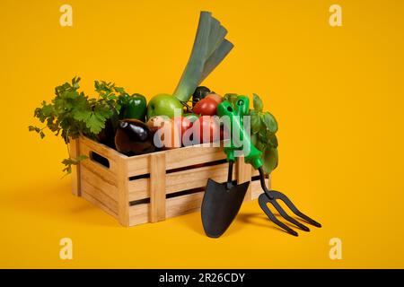 Vegetables Lying In Wooden Box Near Garden Tools, Yellow Background Stock Photo