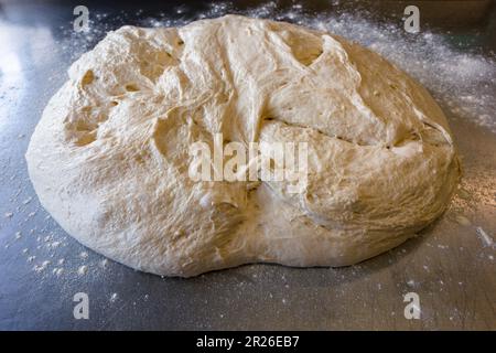 Italian bread ciabatta dough on a metal table Side view Stock Photo