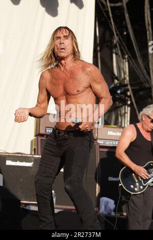 Iggy pop sydney 2025 concert