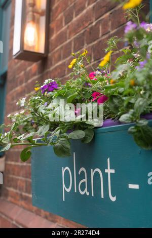 Mallow Borough Market Vegan restaurant Bankside Stock Photo