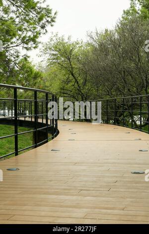 Beautiful pathway with metal handrails in park near trees Stock Photo ...