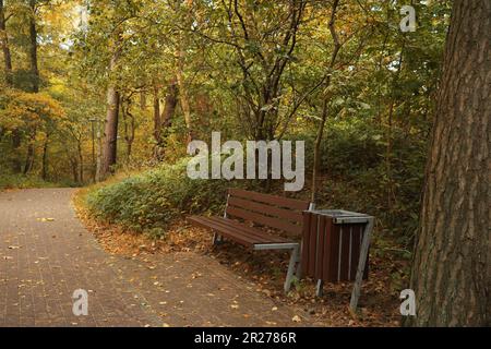 Many beautiful trees, bench and pathway in autumn park Stock Photo