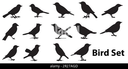 A black and white illustration of a bird set silhouette vector illustration. Stock Vector