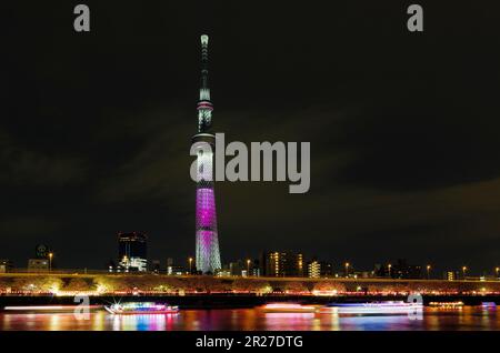 Landscape of cherry blossoms of Sumida park at night, Tokyo Sky tree and pleasure boats on Sumida river Stock Photo