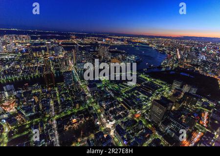 The bird's eye view of Tsukiji market and the Rainbow Bridge in distant view at night Stock Photo