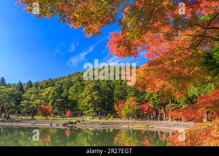 Motsuji temple Oizumigaike pond with autumn leaves Stock Photo