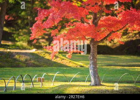 Autumn leaves of Motsuji temple Stock Photo